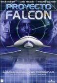 proyecto falcon